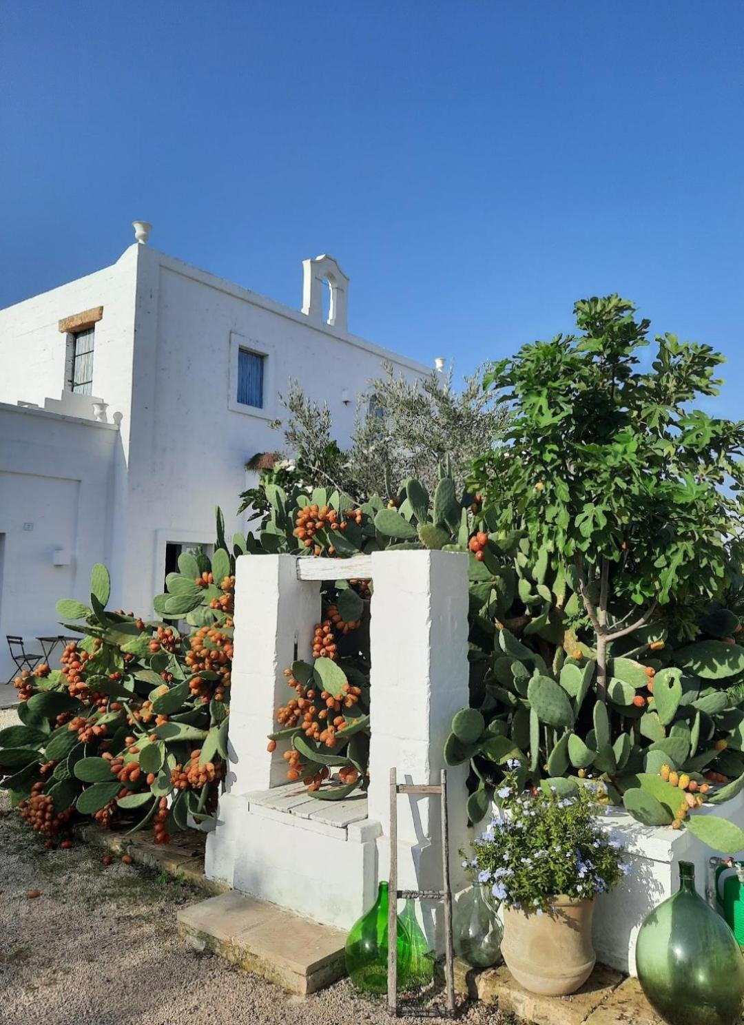 Masseria Fulcignano Galatone Eksteriør billede